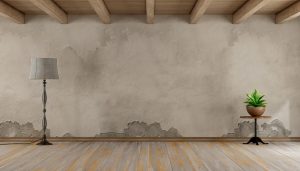 Read more about the article Saltpetre on Walls: Causes, Risks and Solutions