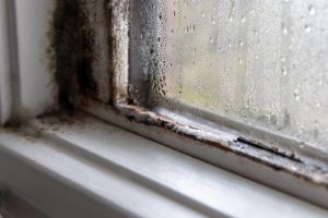 Lire la suite à propos de l’article Condensation sur les fenêtres : causes et solutions