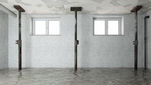 Lire la suite à propos de l’article Cave humide : 8 conseils pour limiter les dégâts