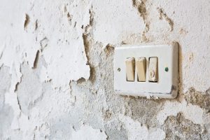 Read more about the article Damp Wall at the Bottom: What to Do Before Painting