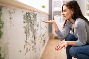 Read more about the article Damp Old House: Causes and Suitable Solutions