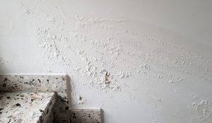 Read more about the article Azulejos que se soltam em baixo : o que fazer?